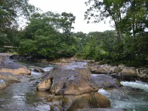 Rio Rumiyaco - Caliyaco