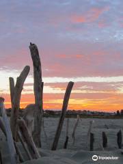 Caroline Bay Beach