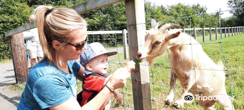 Rosepark Farm