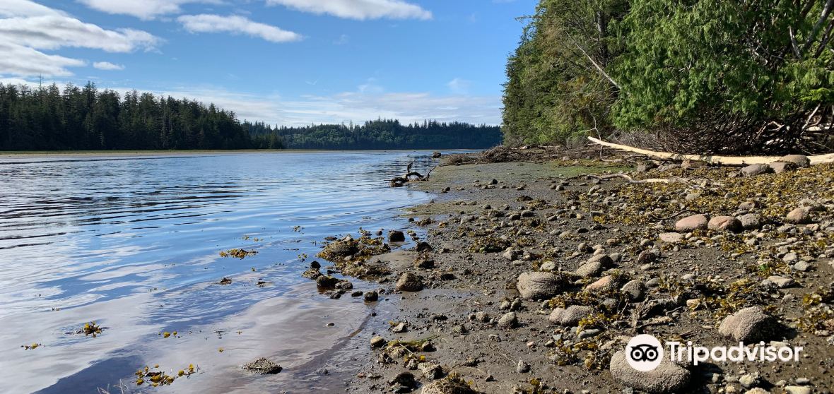 Port Clements Travel Guide 2023 Things to Do, What To Eat & Tips