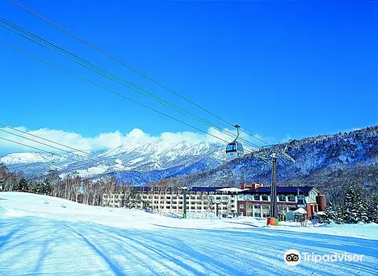 志賀高原燒額山滑雪場