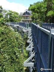 The Canopy Walks