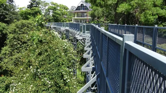 The Canopy Walks