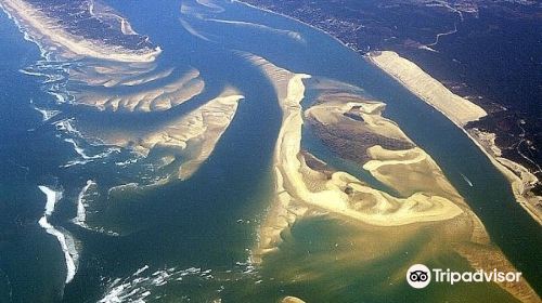 Arcachon Bay