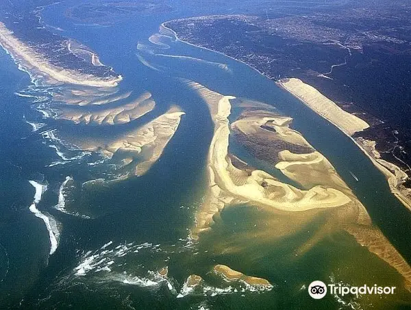 Arcachon Bay