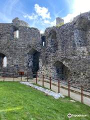 Carlingford Castle