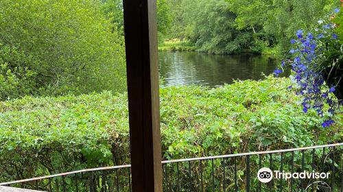 Cottages On Dartmoor & Tavistock Trout Fishery