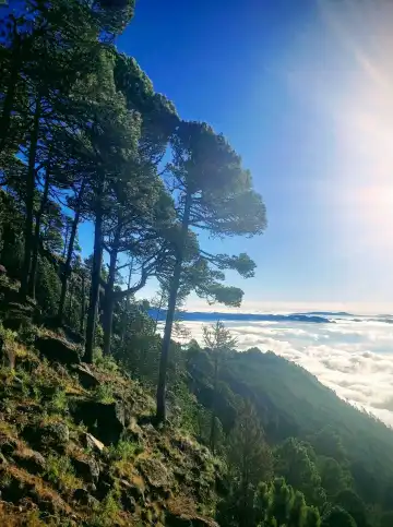 โรงแรมพร้อมWifiในซานมาร์กอส กัวเตมาลา