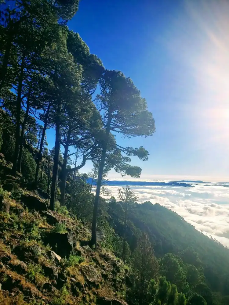 Hotels With Wifi in San Marcos, Guatemala
