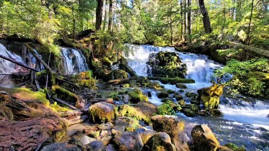 Pearsony Falls