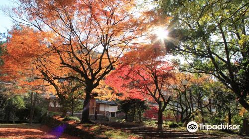 Zuioji Temple