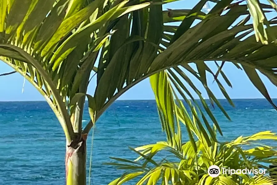 Bolongo Bay Beach