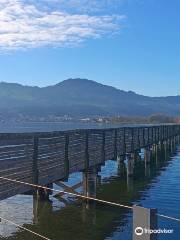 Wooden Bridge from Rapperswil to Hurden