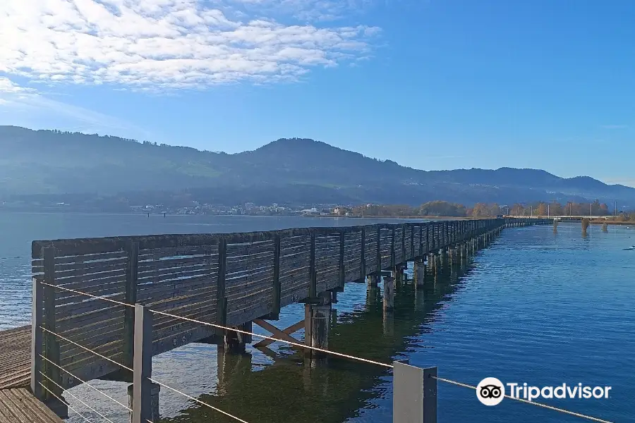 Wooden Bridge from Rapperswil to Hurden