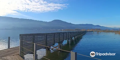 Wooden Bridge from Rapperswil to Hurden