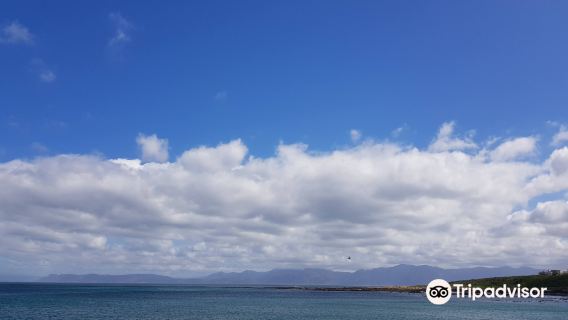 Ivanhoe Sea Safari's - Whale Watching Tours - Gansbaai