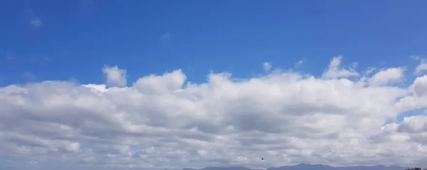 Ivanhoe Sea Safari's - Whale Watching Tours - Gansbaai