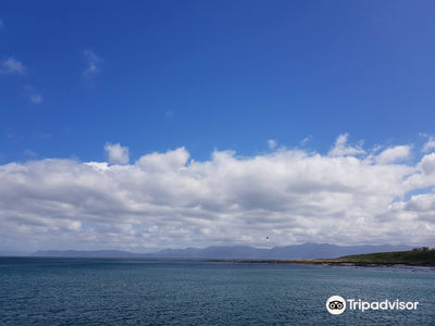Ivanhoe Sea Safari's - Whale Watching Tours - Gansbaai