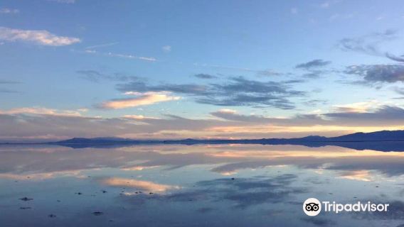 美國+鹽湖城+羚羊島州立公園+邦納維爾鹽沼一日遊
