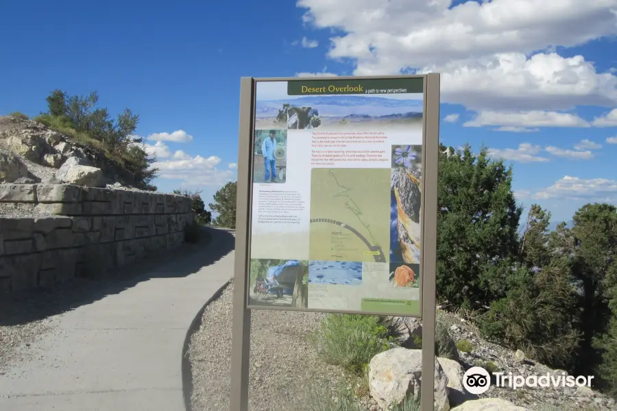 Toiyabe National Forest