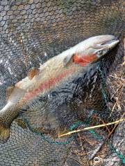 Les Pêcheurs Ardèchois