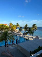 Calypso Diving Centre