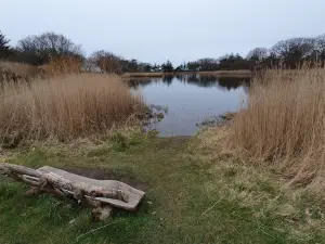 NABU-Wasservogelreservat Wallnau