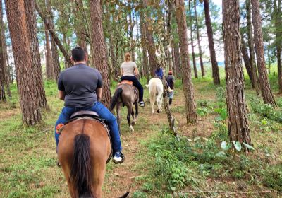 Finca Las Huacas