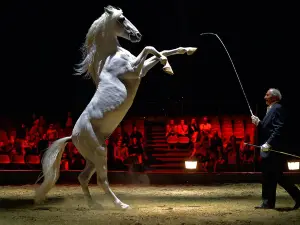Les Folies Gruss Estivales