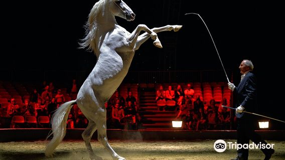 Les Folies Gruss Estivales