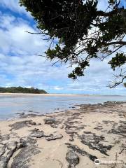 Lake Cathie Foreshore Reserve