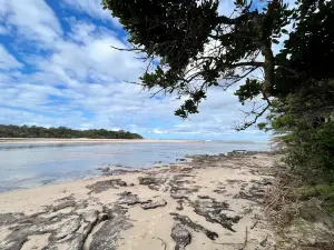 Lake Cathie Foreshore Reserve