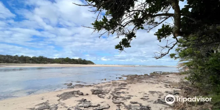 Lake Cathie Foreshore Reserve