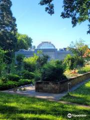 ユストゥス＝リービッヒ＝ウニヴェルシテート・ギーセン植物園