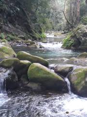 Rio Escanela
