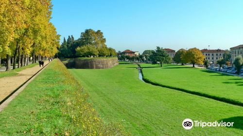 Le mura di Lucca