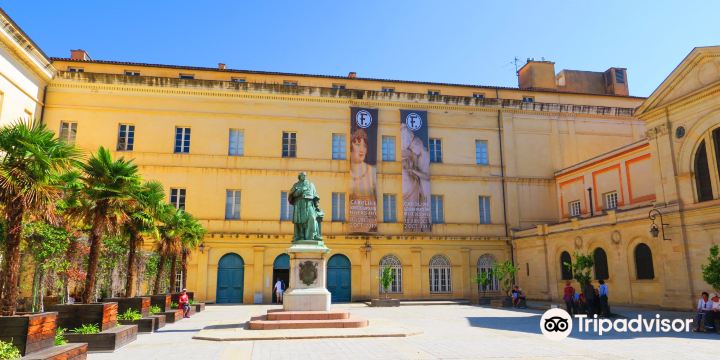 Fesch Museum