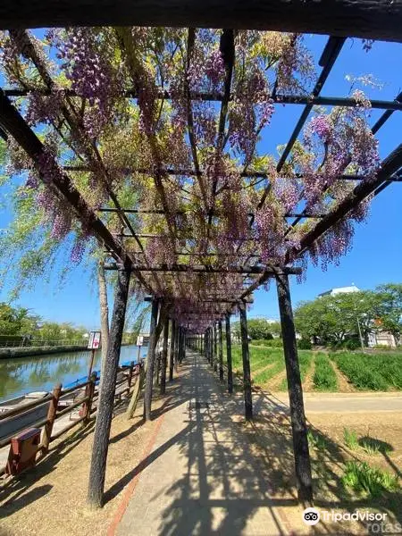 Suigo-Itako Iris Garden