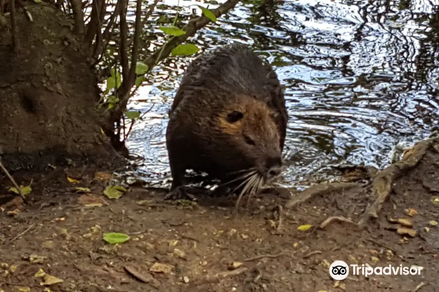 パティ公園