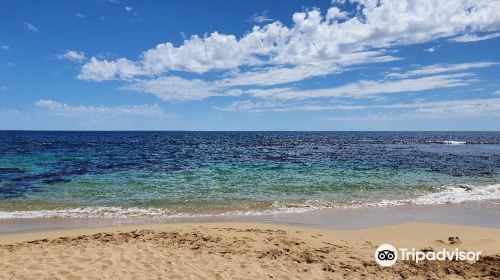 Shoalwater Islands Marine Park