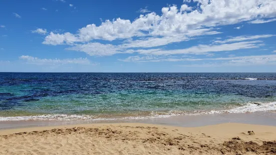 Shoalwater Islands Marine Park