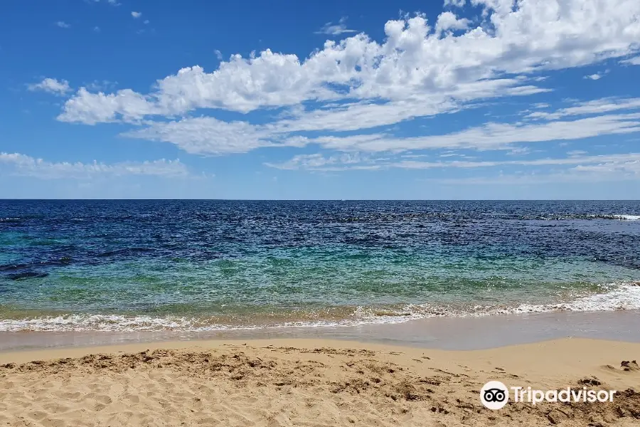 Shoalwater Islands Marine Park