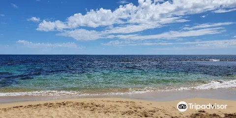 肖爾瓦特島海洋公園