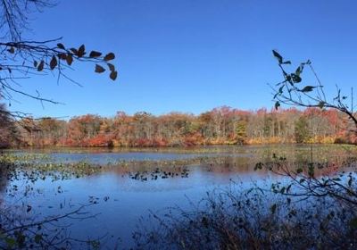 Mill Pond Park and Adam D Rand Memorial Trail