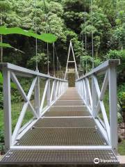 Fa'aruma'i Waterfalls