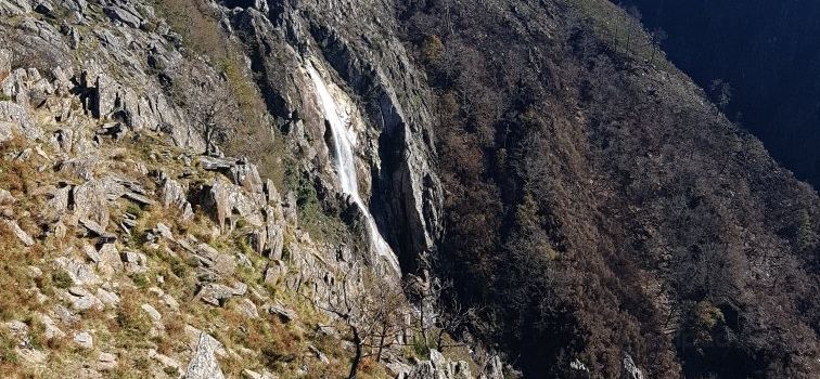 Arouca
