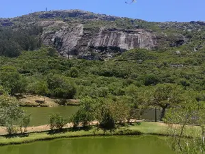 Reserva de Flora y Fauna Autóctona del Cerro Pan de Azúcar