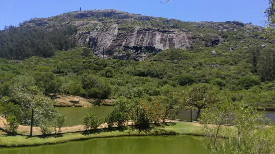 Reserva de Flora y Fauna del Pan de Azúcar