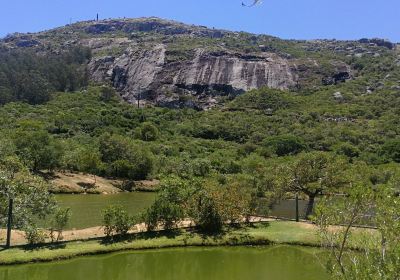 Reserva de Flora y Fauna del Pan de Azúcar