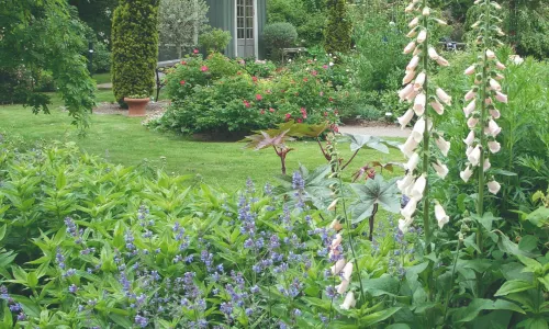 Gothenburg Botanical Garden